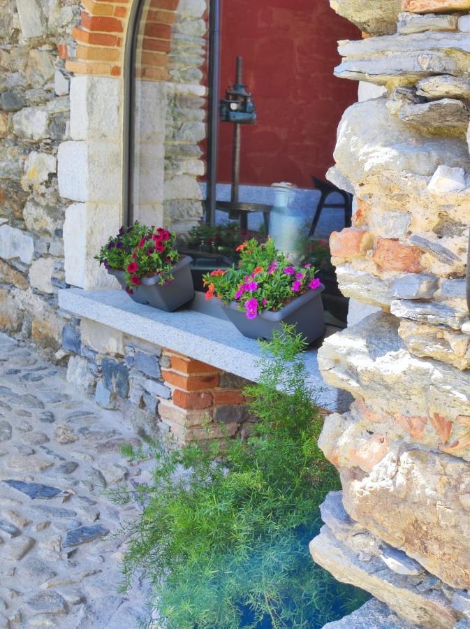 Agriturismo Il Medeghino 穆索 外观 照片